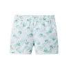 Janie And Jack Little Boy's & Boy's Palm Tree Swim Trunks For Kids -Janie and Jack And Sea Sales 2022 unnamed file 434
